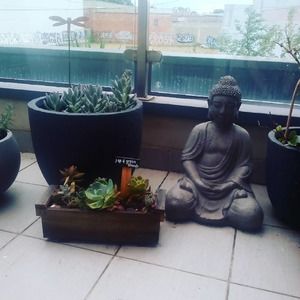 Meet your Posher, Elisabeth